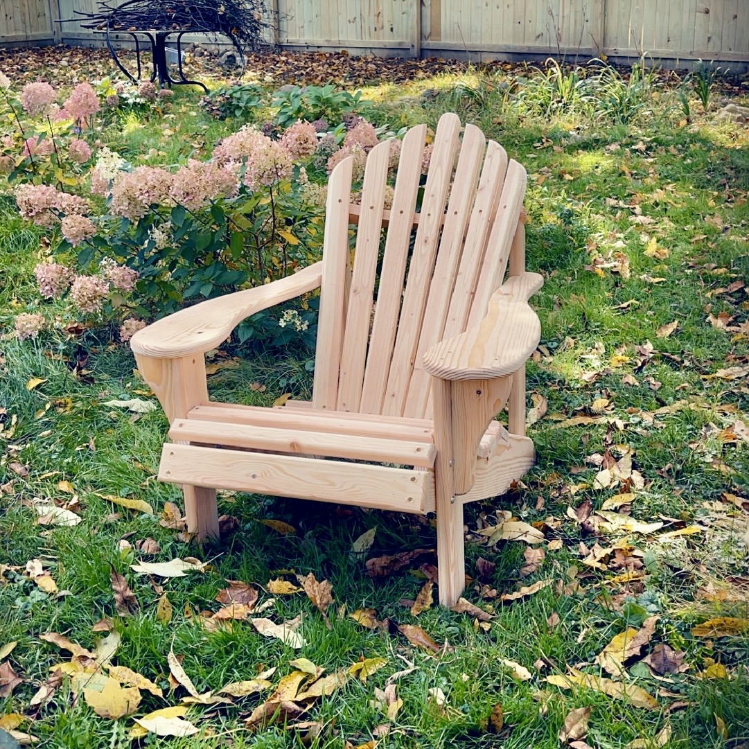 Blog Image 1